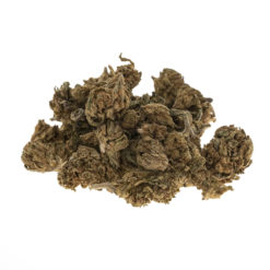 CBD grass hazelnut baby buds_haufen_web