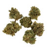 grass-cbd-cannatonic-babybuds-eu_web