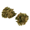SourLemon-1