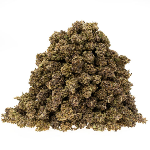grass-cbd-black-domina_haufen_web